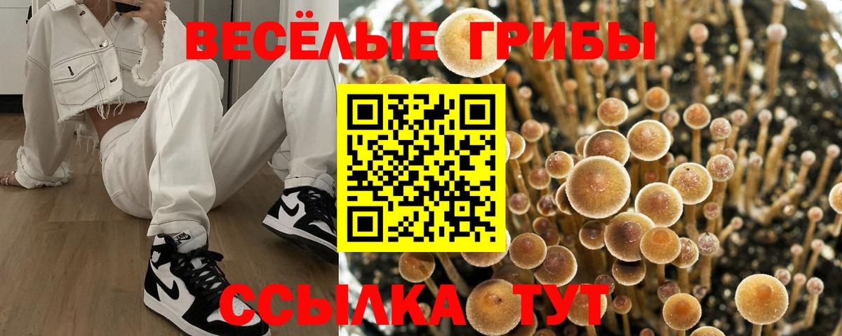 Галлюциногенные грибы Magic Shrooms  Вход с VPN  Нефтеюганск 